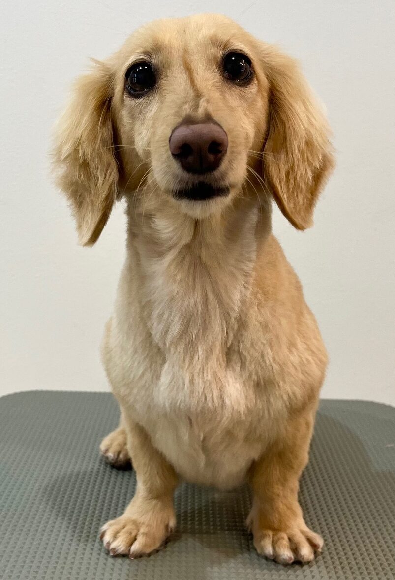 2025-7-18-%e6%ad%a6%e5%b8%82%e5%87%9b