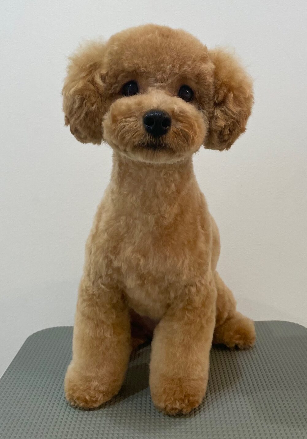 2025-7-18-%e6%b0%b8%e7%94%b0%e3%81%86%e3%82%86