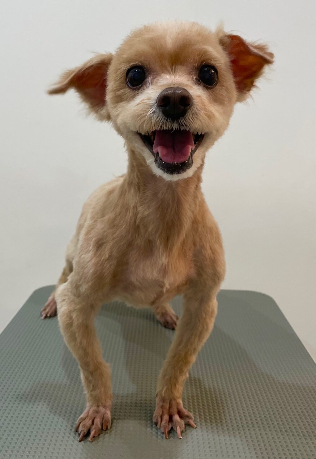 2025-7-20-%e5%9d%aa%e4%ba%95%e3%81%8f%e3%82%8b%e3%81%bf