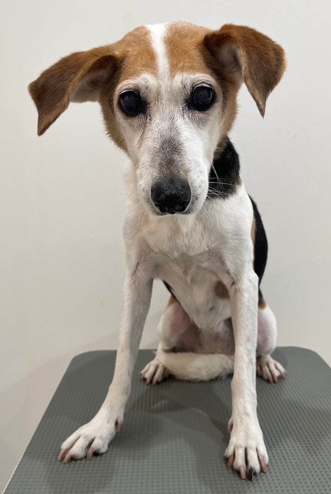 2025-7-20-%e5%a4%aa%e5%b3%b6%e3%82%a2%e3%83%aa%e3%83%bc