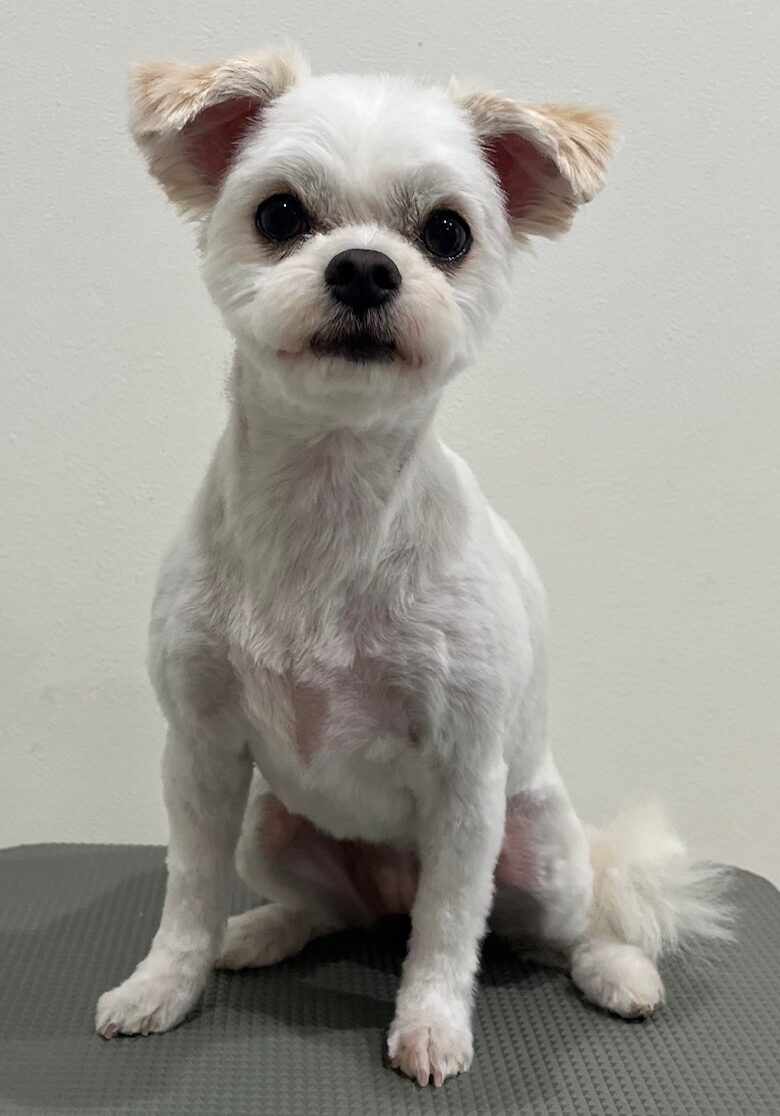 2025-7-20-%e5%b1%b1%e5%8f%a3%e3%81%a4%e3%82%80%e3%81%8e