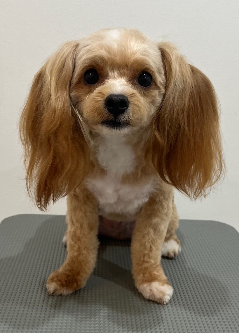 2025-7-20-%e5%b9%b3%e6%b2%a2%e3%83%86%e3%82%a4%e3%83%ab