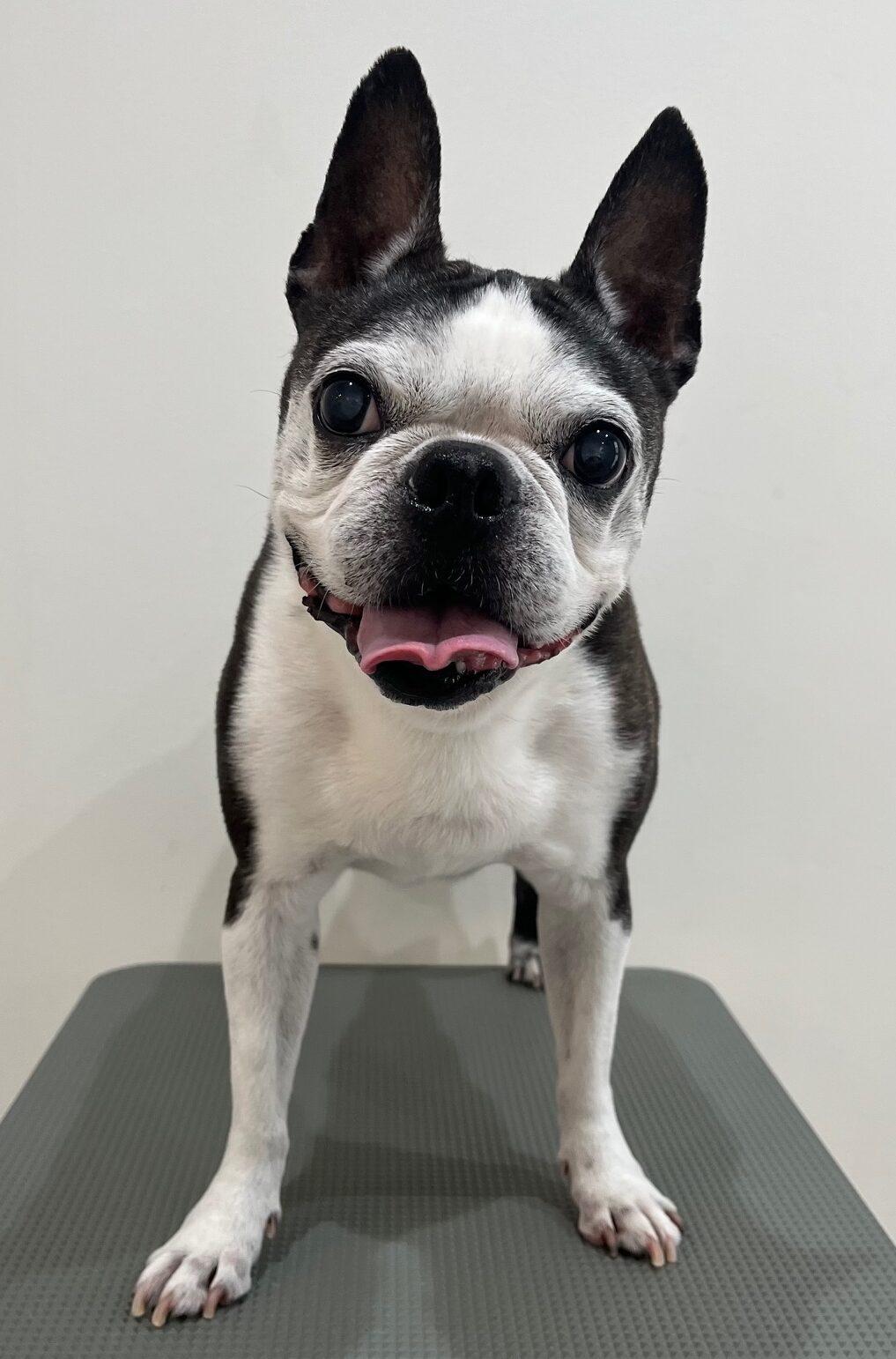 2025-7-20-%e8%b1%8a%e5%b7%bb%e3%83%ab%e3%83%bc%e3%82%af