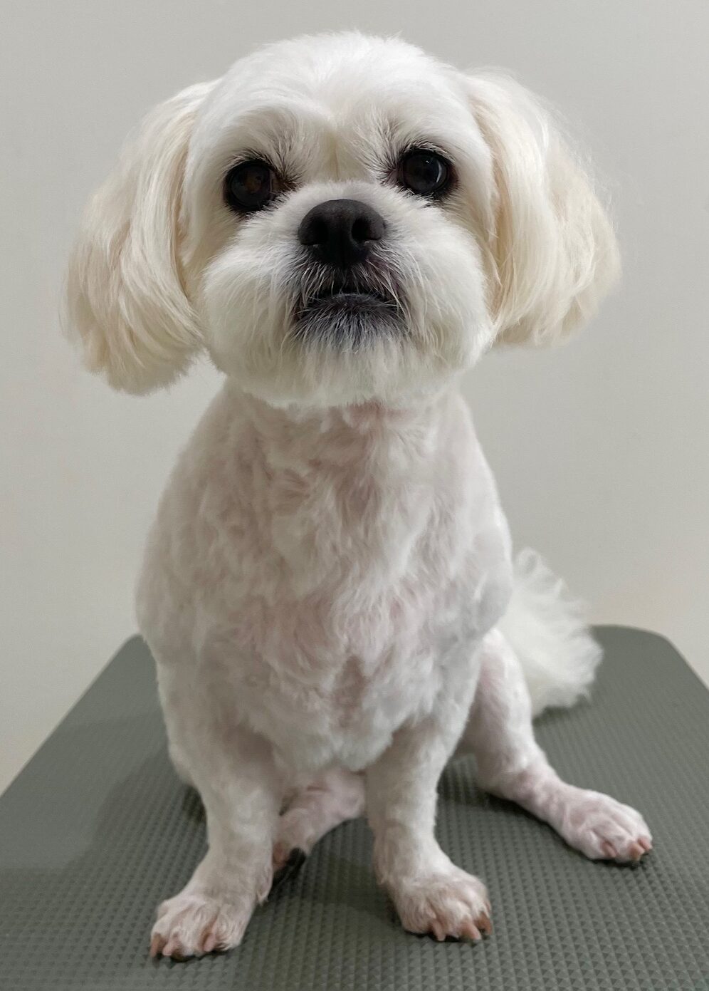 2025-7-22-%e5%a4%a7%e5%b7%9ddonna