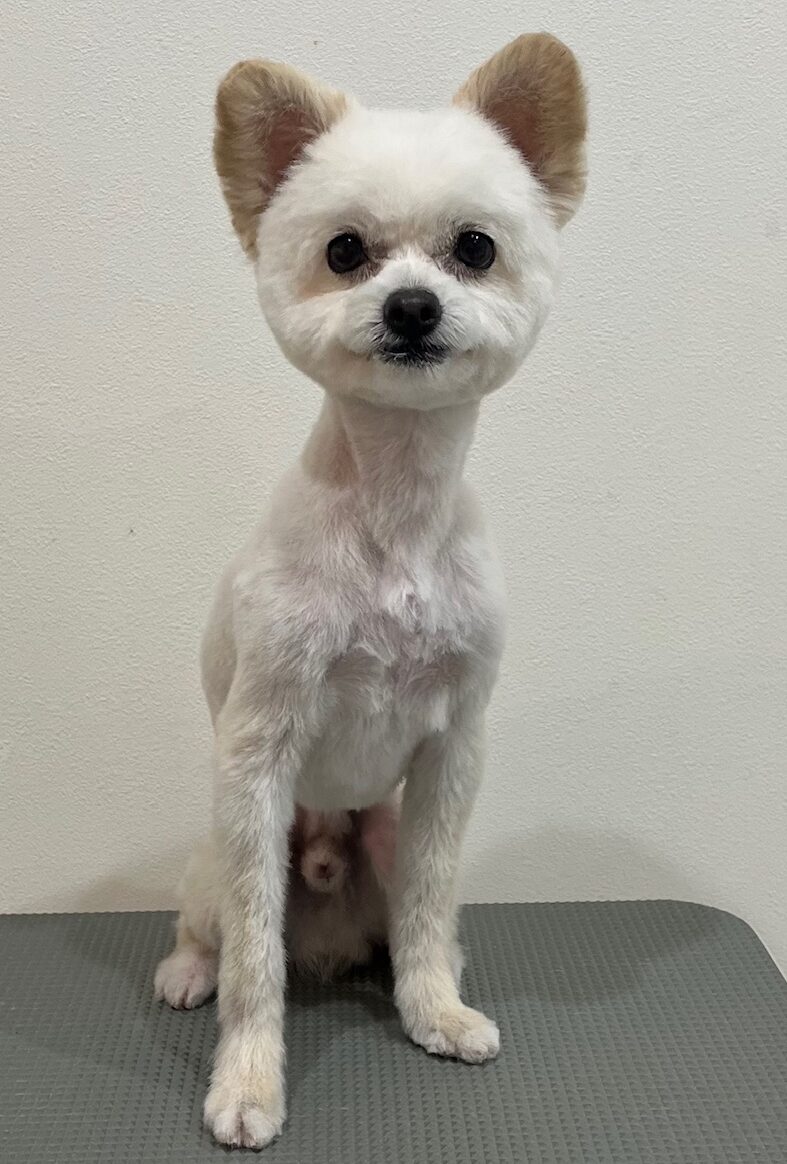 2025-7-22-%e5%b7%9d%e7%94%b0%e3%83%a9%e3%82%ad