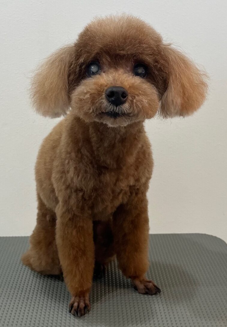 2025-7-22-%e6%9c%ac%e5%a4%9a%e9%99%bd%e8%8f%9c