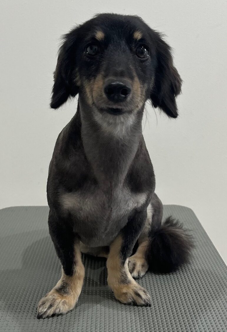 2025-7-22-%e6%9d%89%e6%9d%91%e3%82%89%e3%82%93