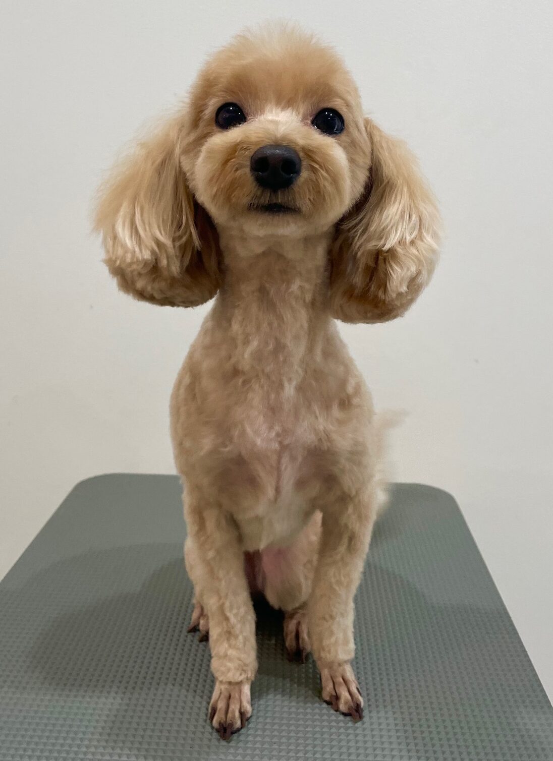 2025-7-23-%e5%8f%a4%e5%b7%9dloco