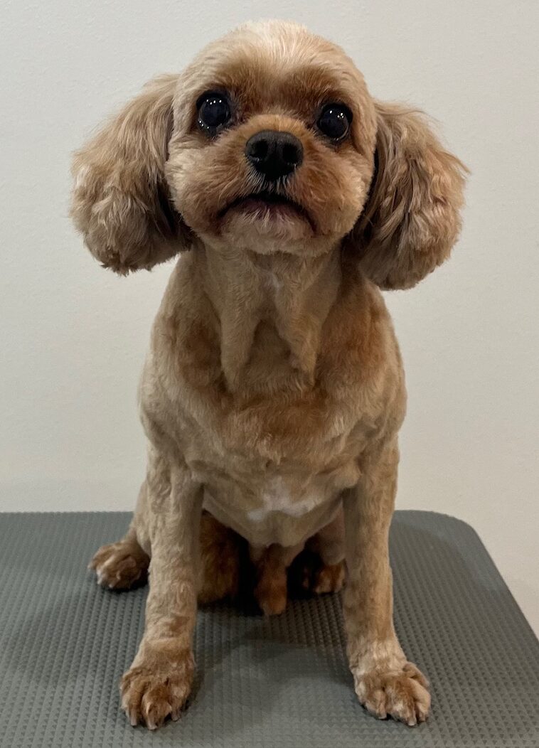 2025-7-23-%e5%b0%8f%e7%8e%89%e3%83%9e%e3%83%ad%e3%83%b3