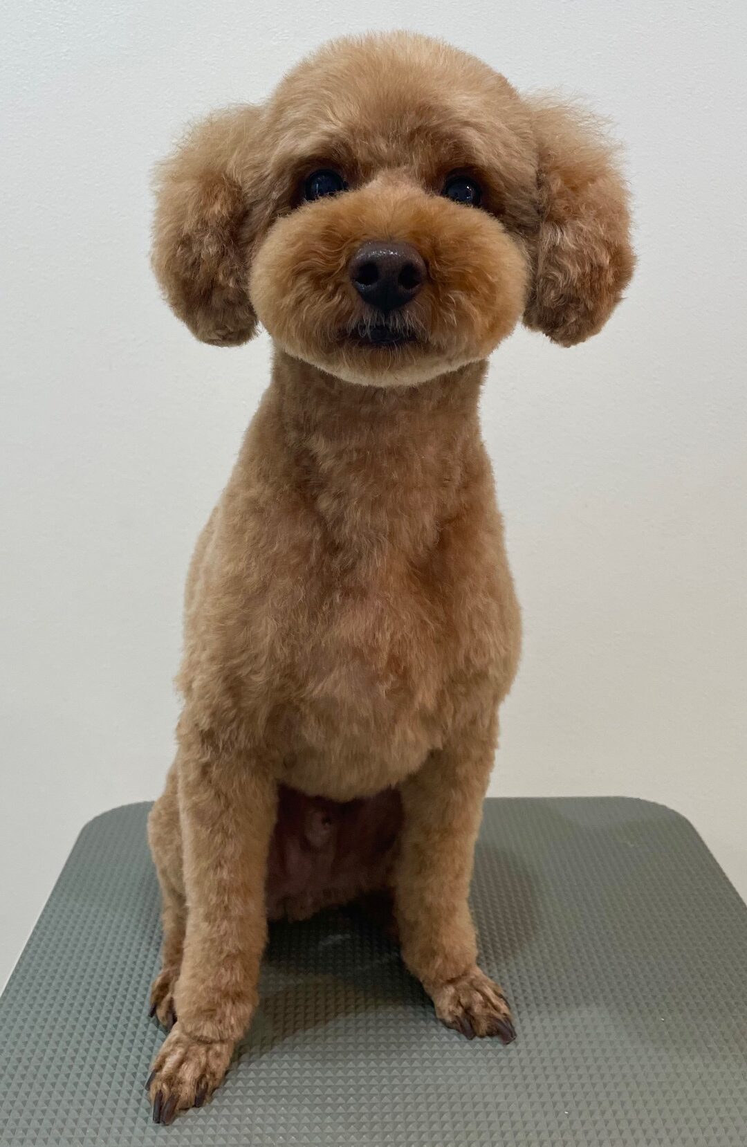 2025-7-23-%e6%b8%a1%e9%82%89%e3%81%ad%e3%82%8b