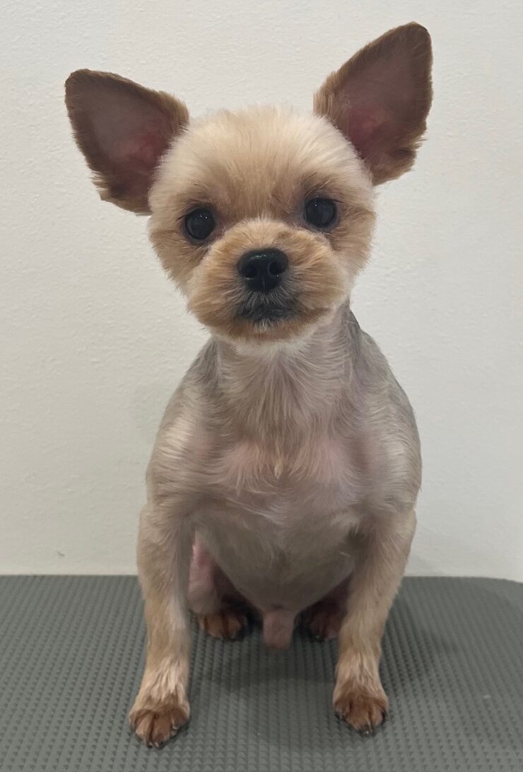 2025-7-23-%e8%bf%91%e8%97%a4%e6%96%b0%e5%85%ab