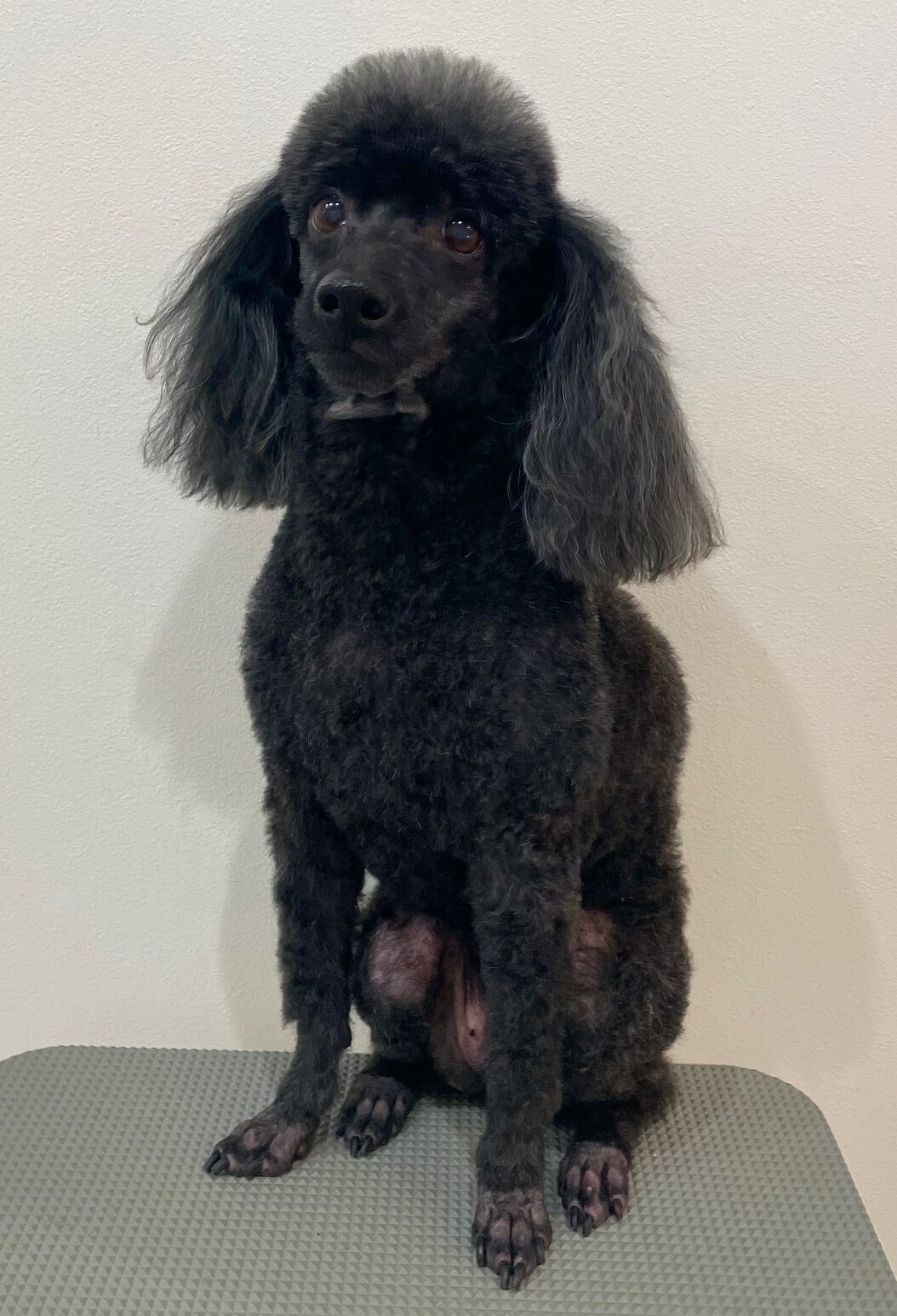 2025-7-25-%e4%ba%95%e4%b8%8a%e3%82%a2%e3%83%b3