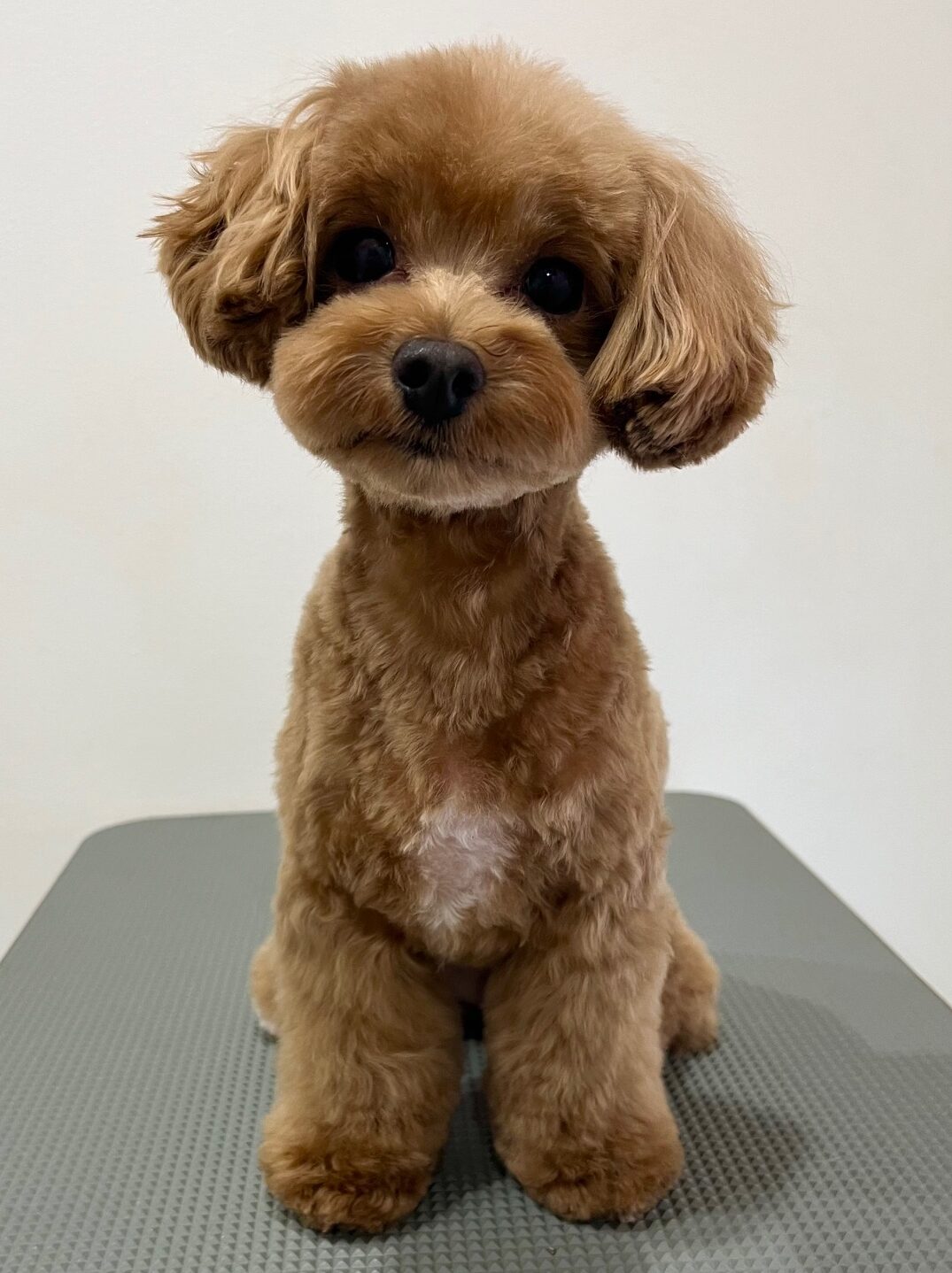 2025-7-25-%e5%a4%aa%e7%94%b0%e9%9b%aa