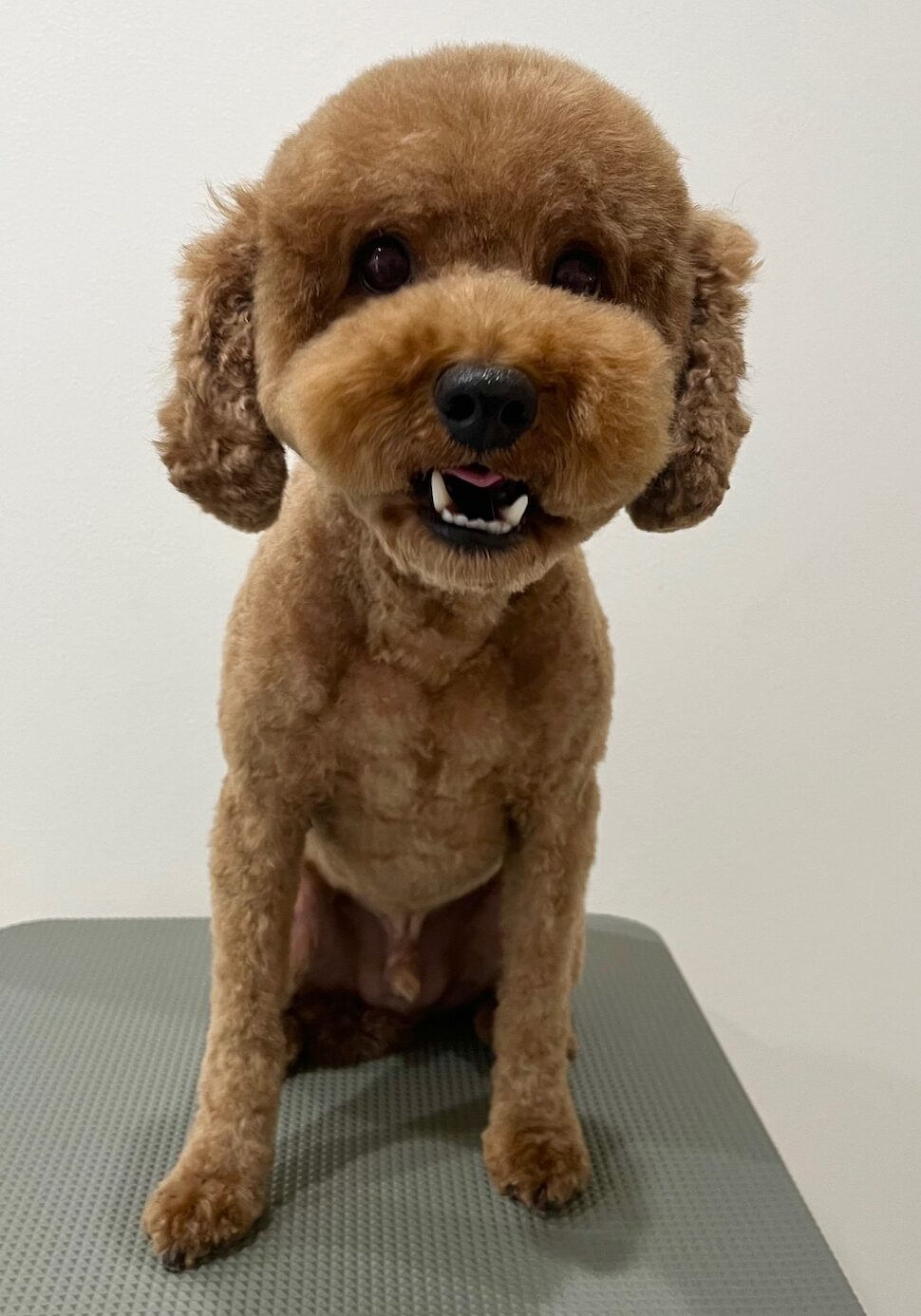 2025-7-25-%e6%9d%be%e5%b4%8e%e3%83%81%e3%83%a7%e3%82%b3