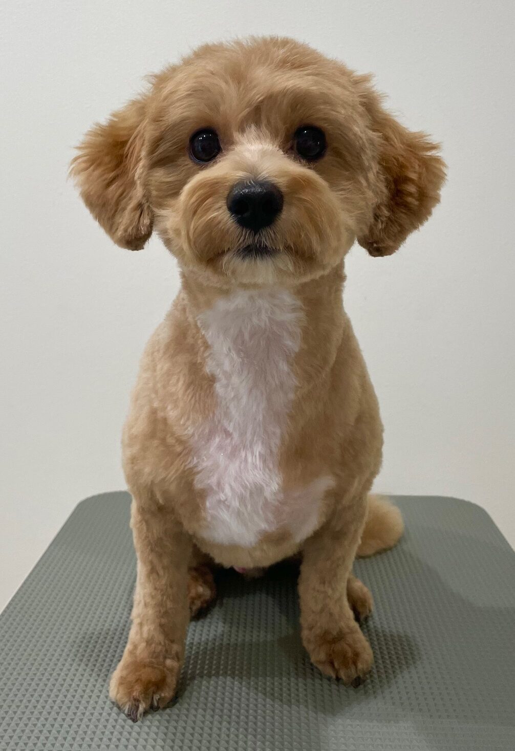 2025-7-25-%e6%9d%be%e5%b4%8e%e3%83%a2%e3%83%8a%e3%82%ab