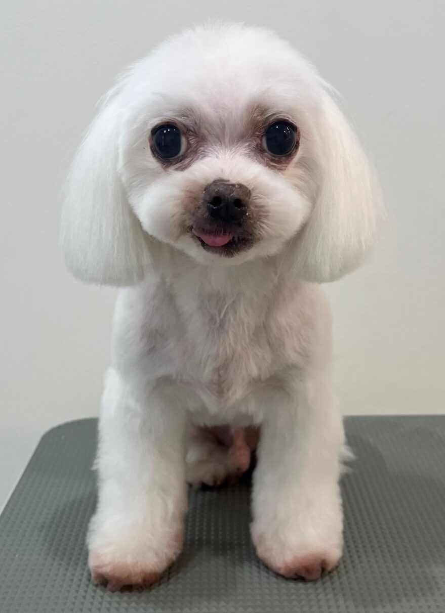 2025-7-25-%e9%95%b7%e7%94%b0%e3%83%9e%e3%83%ab