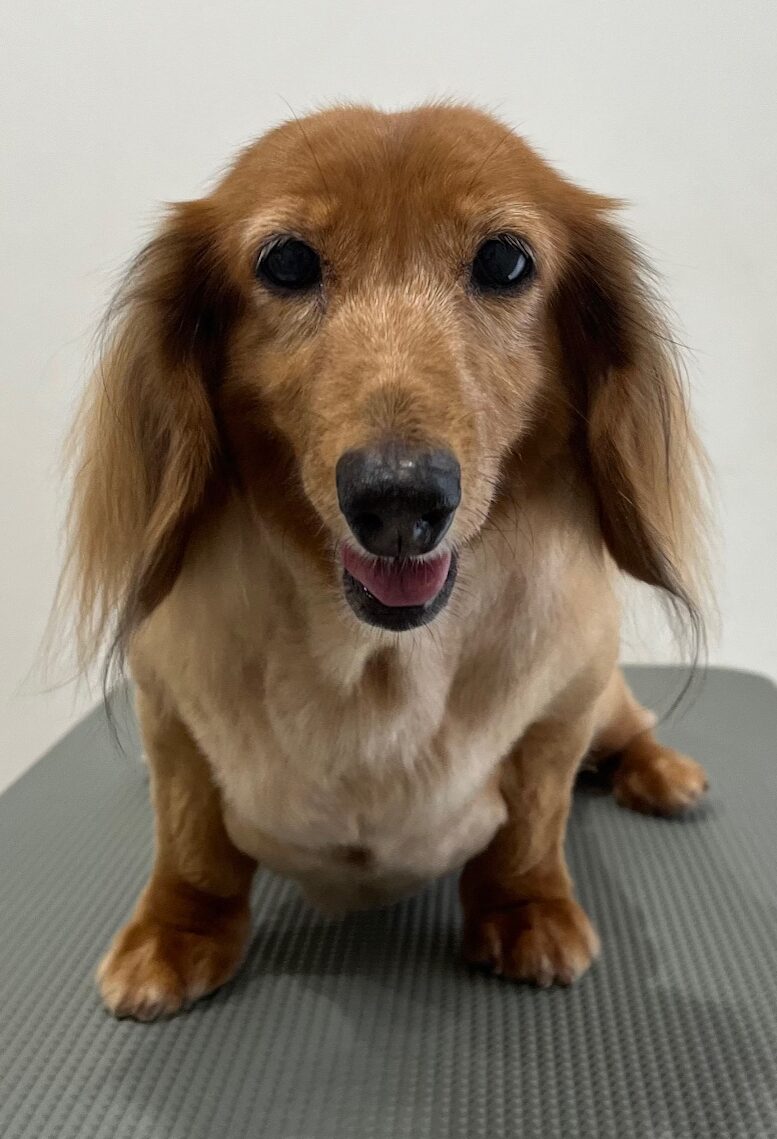 2025-7-27-%e5%a4%a7%e5%a0%80%e7%88%bd%e5%ad%90