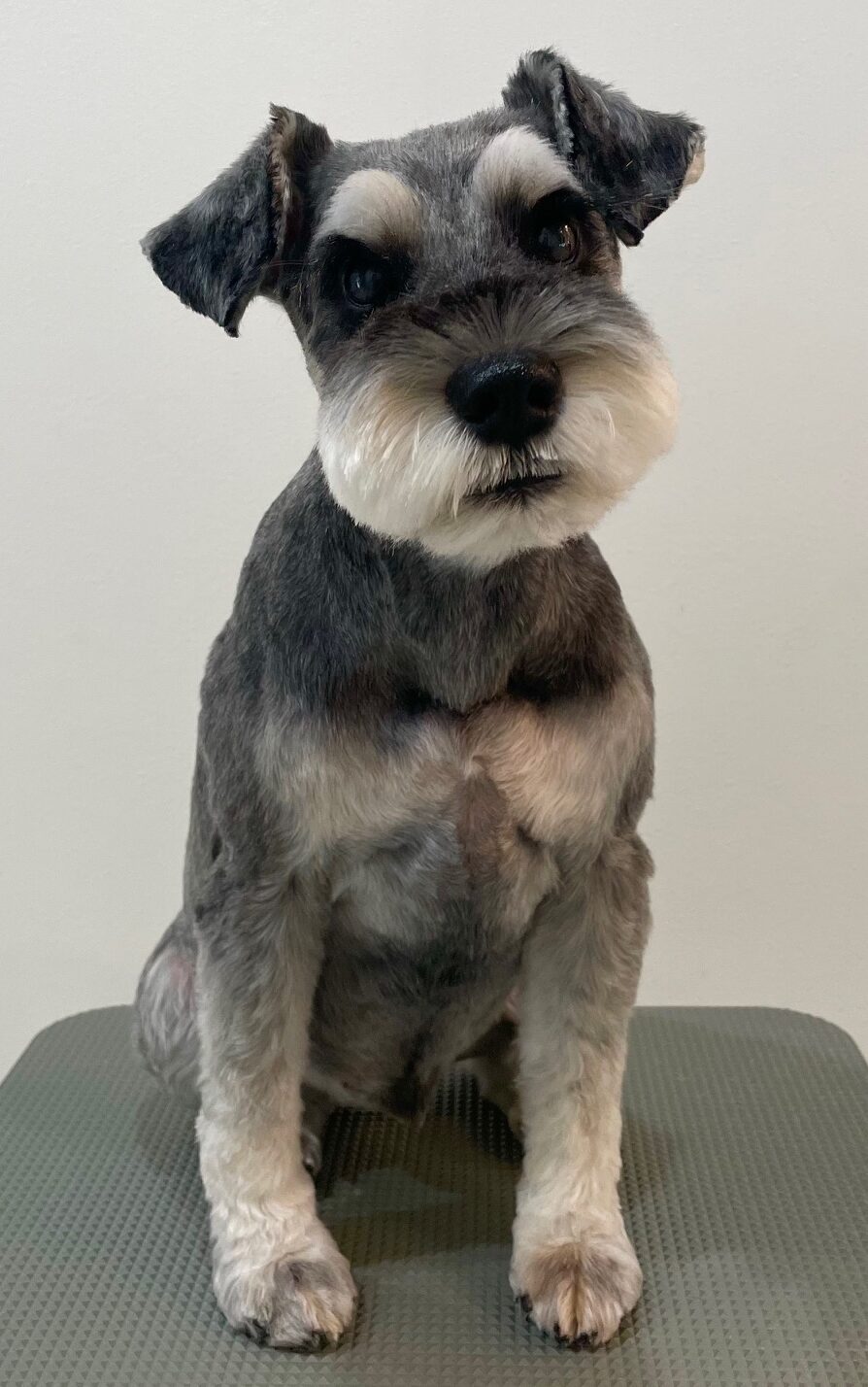 2025-7-27-%e5%b0%8f%e6%b1%a0%e3%82%a2%e3%83%bc%e3%82%b9