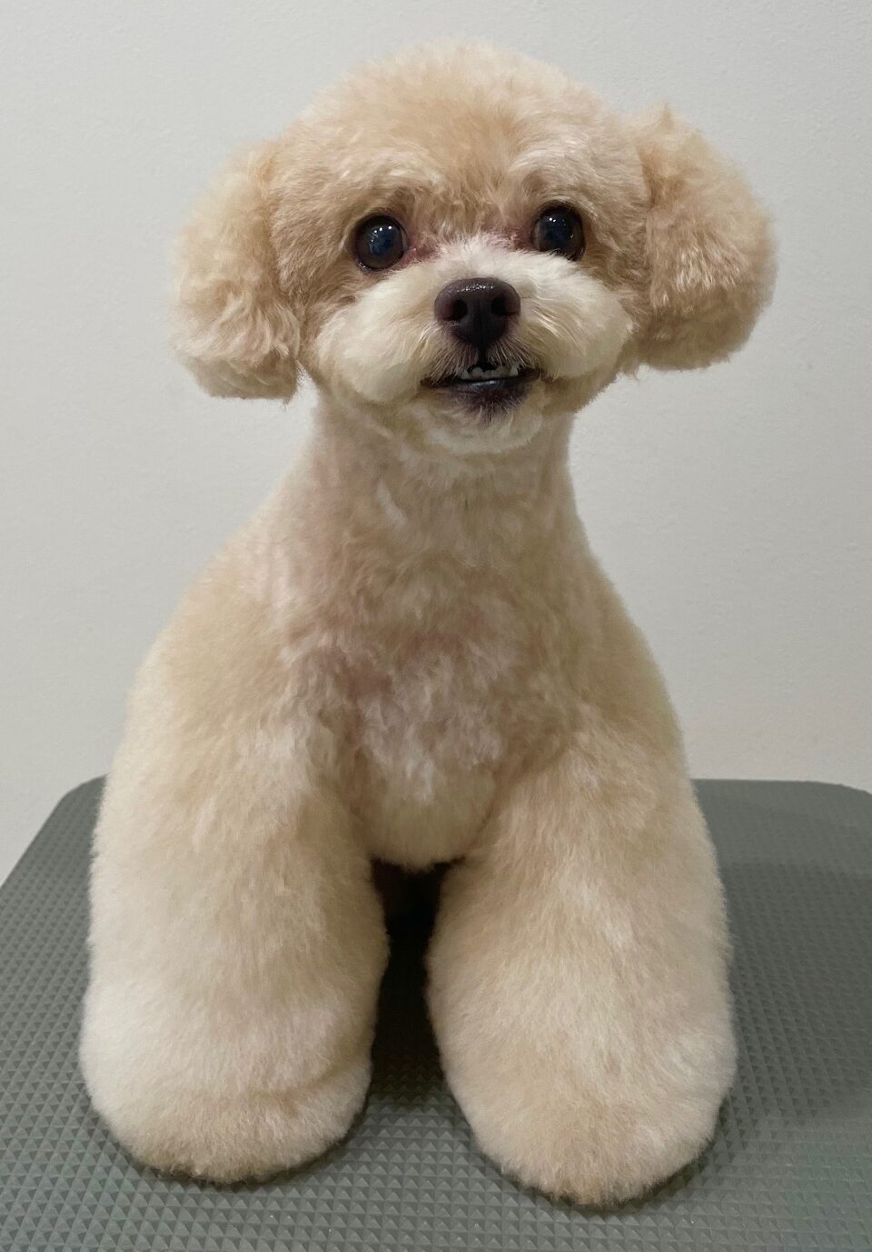 2025-7-27-%e6%a9%8b%e5%b1%b1%e3%82%b3%e3%83%ad%e3%83%b3