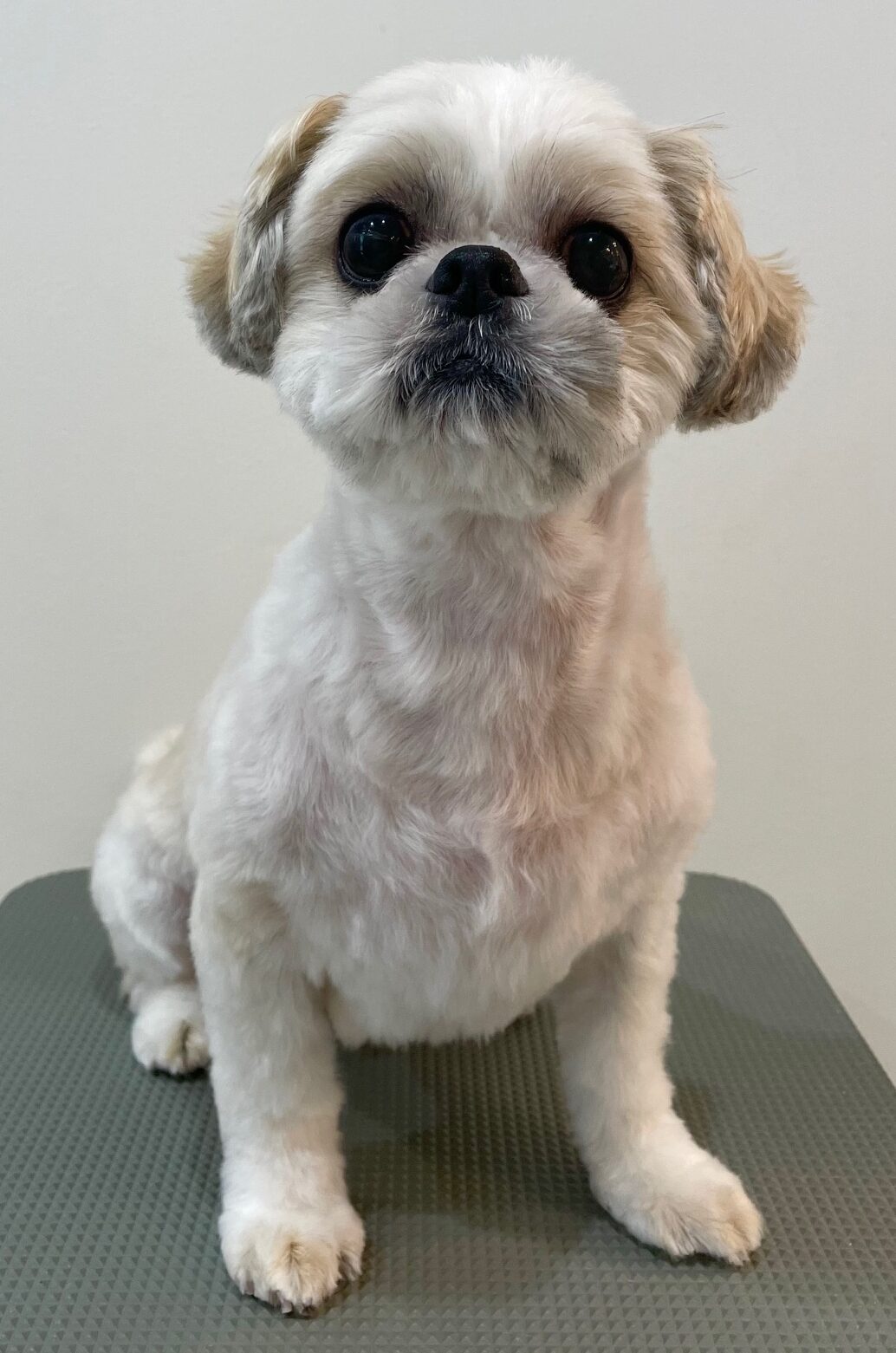 2025-7-27-%e8%97%a4%e5%8e%9f%e3%81%8f%e3%82%8b%e3%81%bf