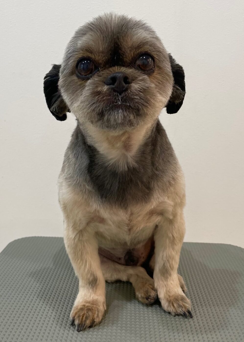 2025-7-28-%e4%ba%80%e5%b1%b1%e3%83%9d%e3%83%b3%e5%a4%aa