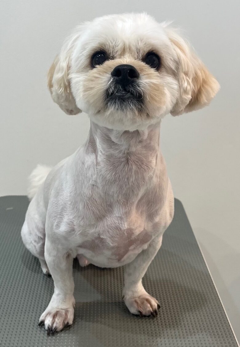 2025-7-28-%e5%b0%8f%e9%96%a2%e6%9d%be%e7%ab%b9