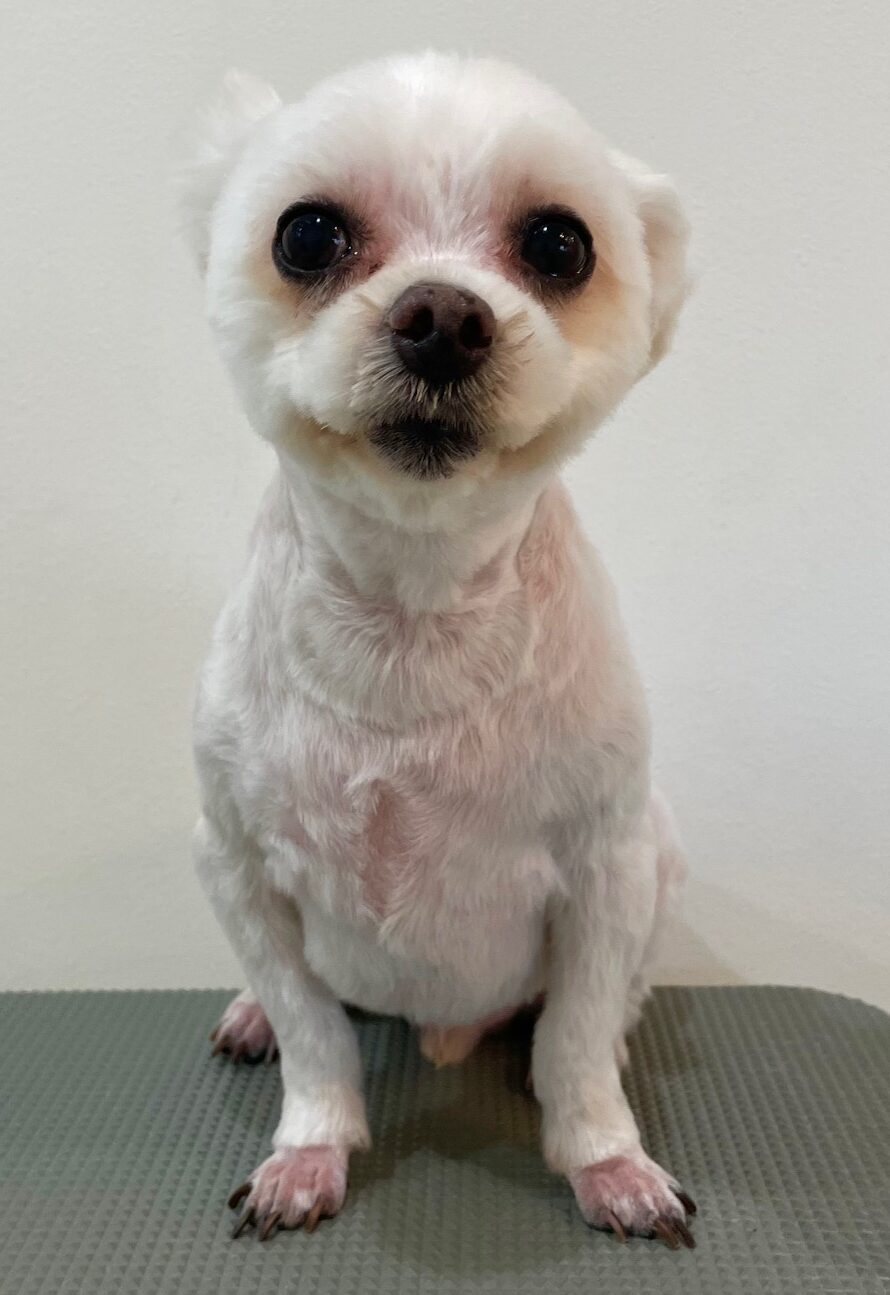 2025-7-28-%e6%9d%89%ef%a8%91%e3%82%b1%e3%83%b3%e3%82%b7%e3%83%b3