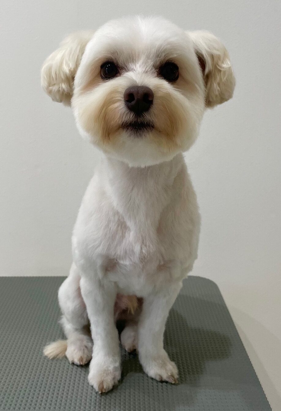 2025-7-28-%e8%8a%b9%e6%be%a4%e3%83%9e%e3%83%ad