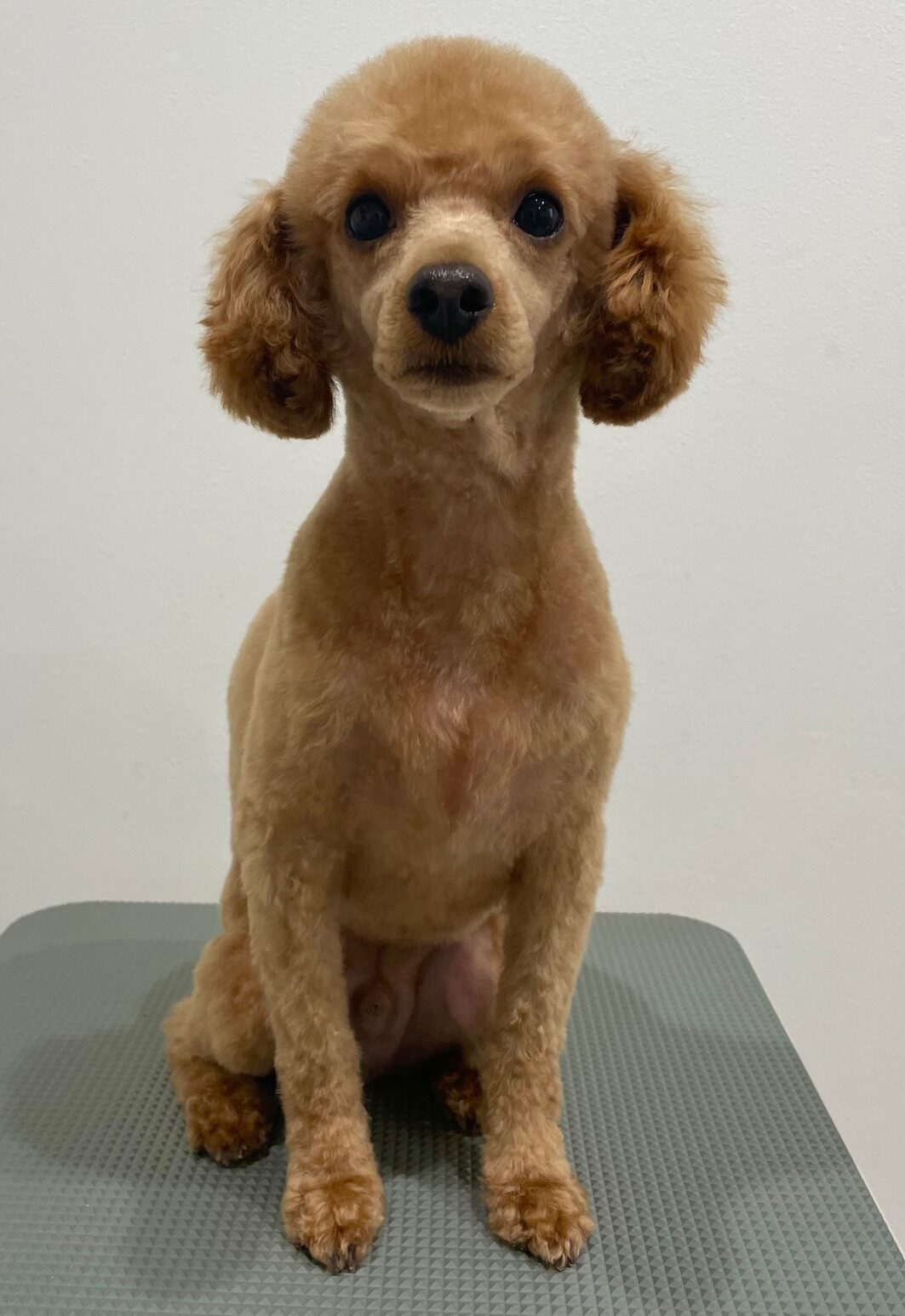 2025-7-29-%e5%9f%8e%e5%b3%b6%e3%83%97%e3%83%97