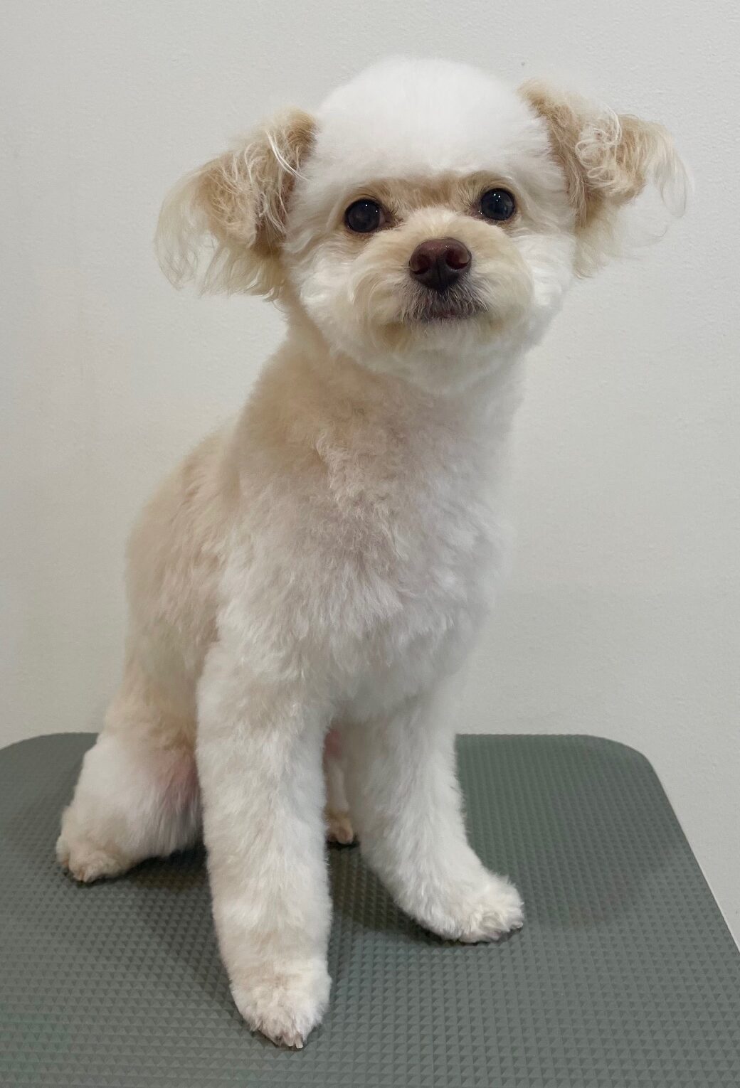 2025-7-29-%e5%a4%a7%e8%a5%bf%e3%82%af%e3%83%ac%e3%83%a0