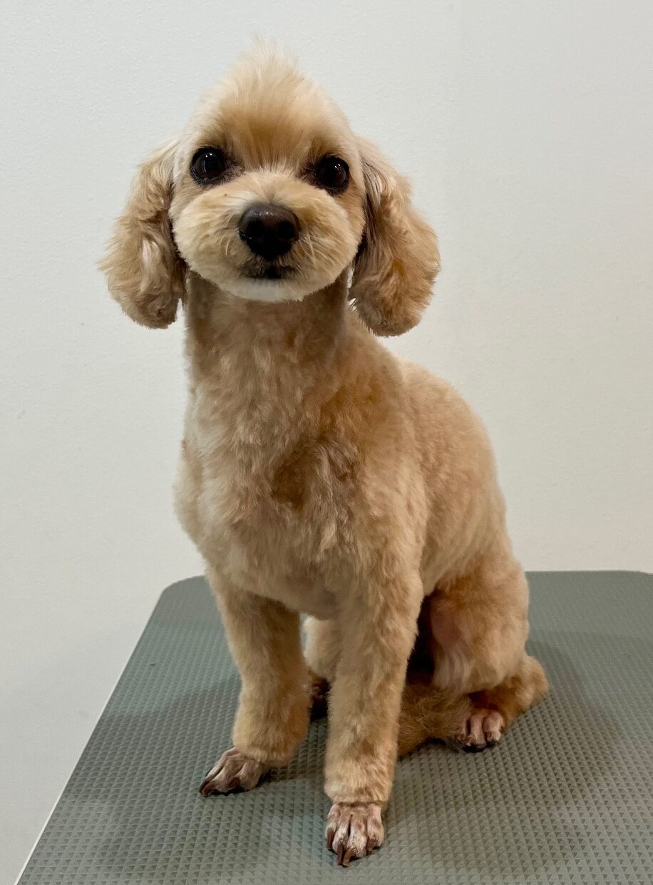 2025-7-29-%e7%9f%b3%e4%ba%95%e3%83%9e%e3%83%ad%e3%83%b3