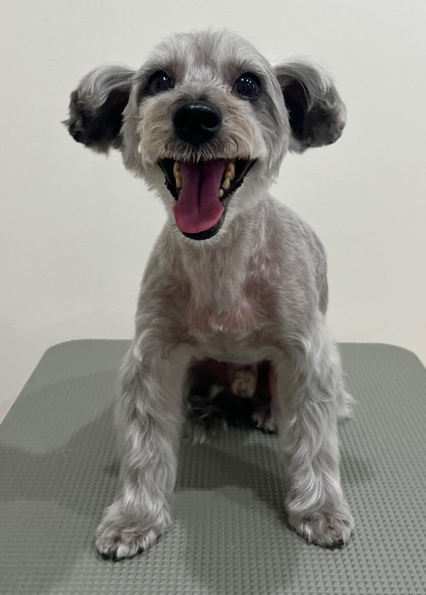 2025-7-29-%e9%ab%99%e6%a9%8b%e3%82%af%e3%83%bc