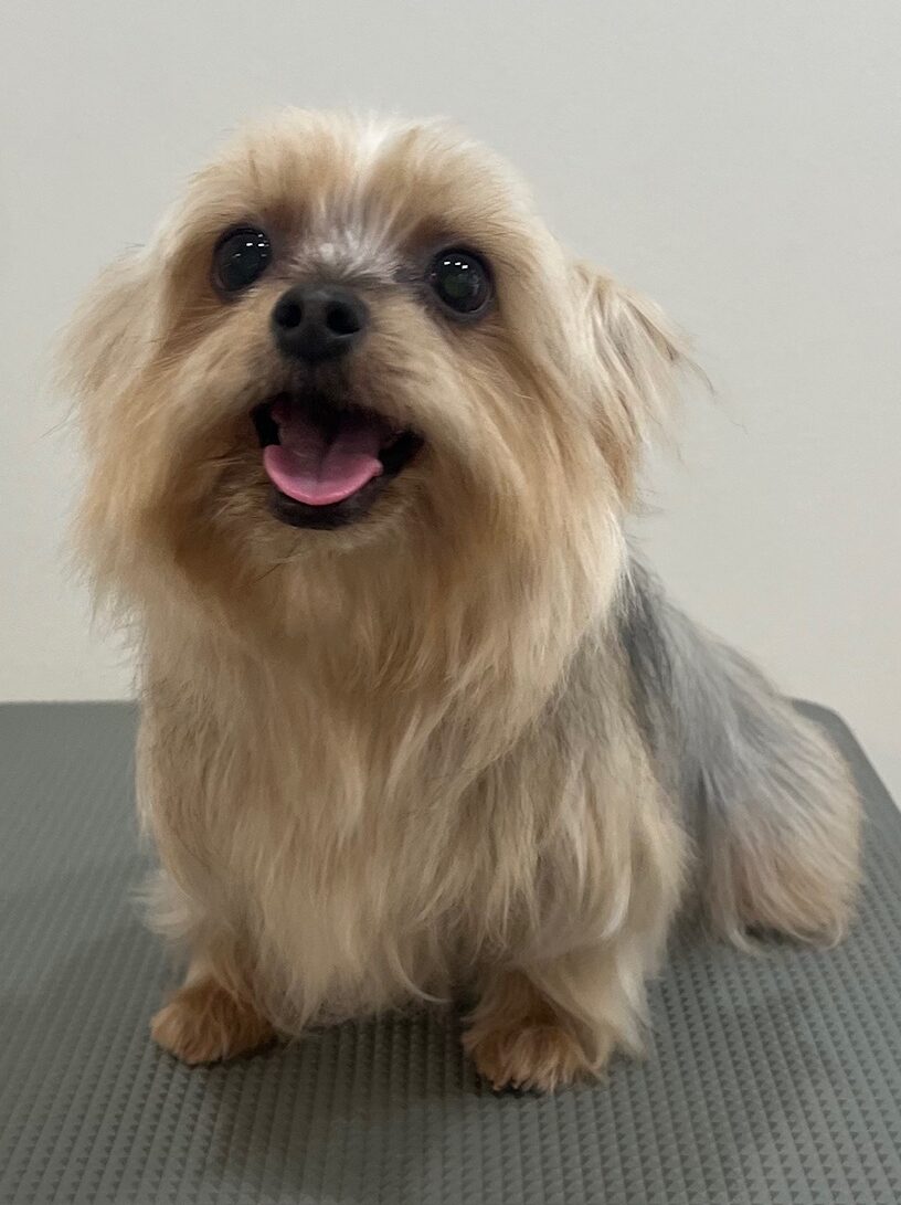 2025-7-30-%e8%8d%92%e4%ba%95%e3%83%9f%e3%83%9f