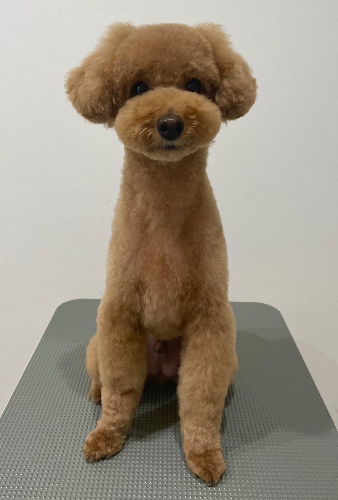 2025-7-30-%e4%bc%8a%e8%b1%86%e5%b7%9d%e7%a9%ba%e6%9d%a5