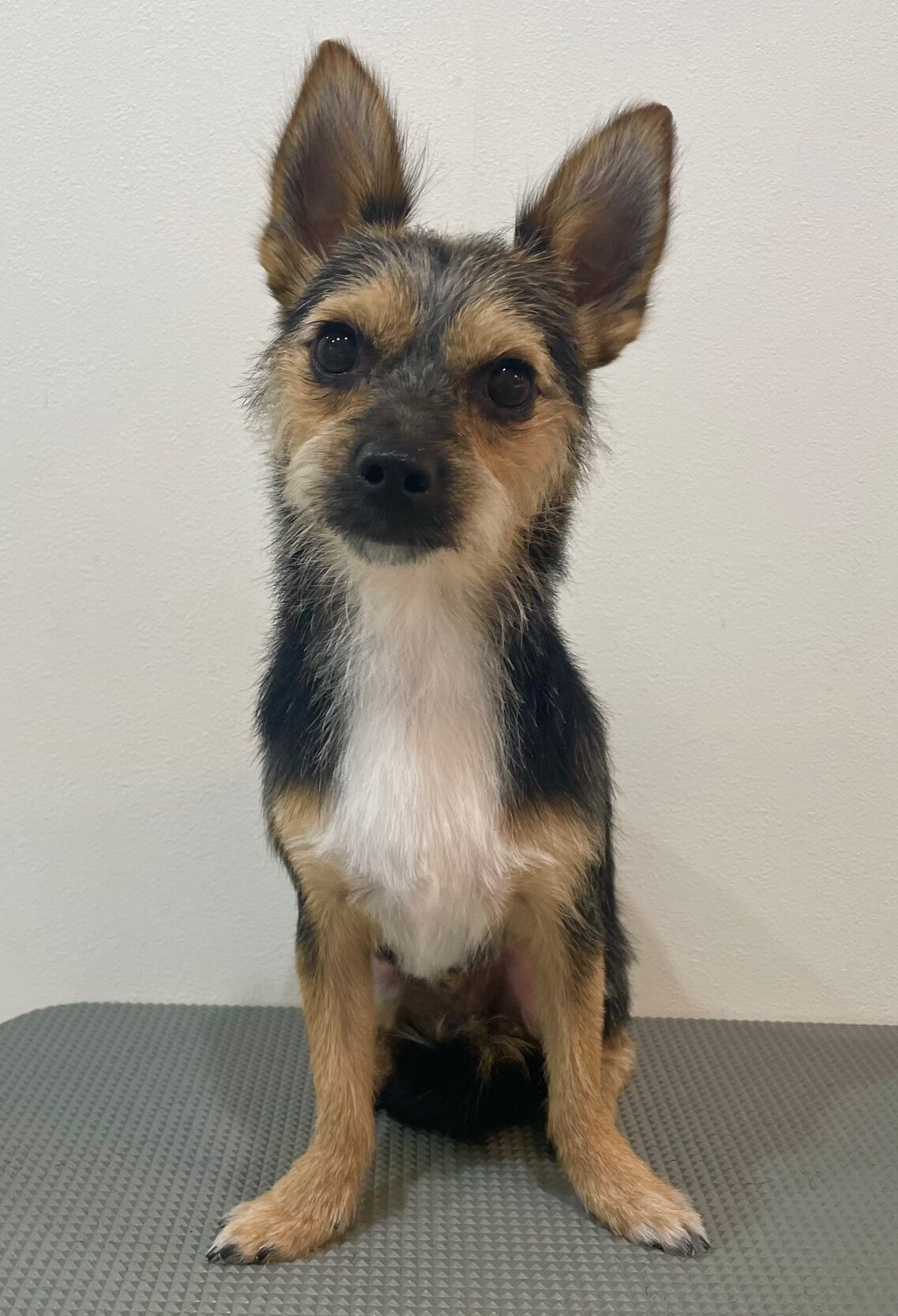 2025-7-30-%e6%9d%89%e5%b4%8e%e3%82%89%e3%81%84