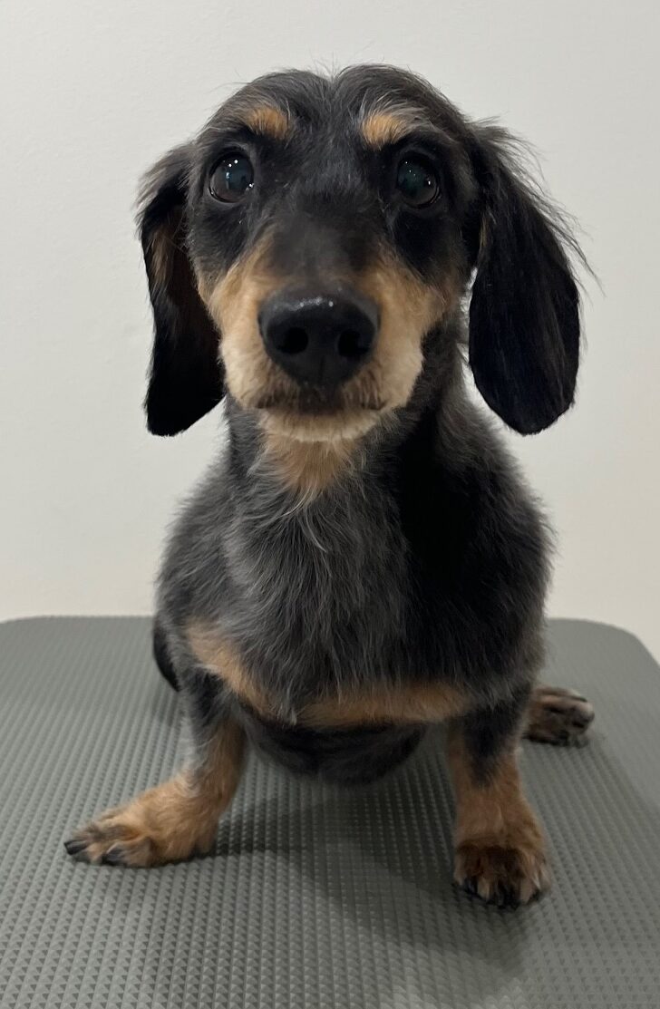 2025-7-30-%e8%b2%9d%e6%96%b9%e5%a3%ab%e3%83%ac%e3%83%b3