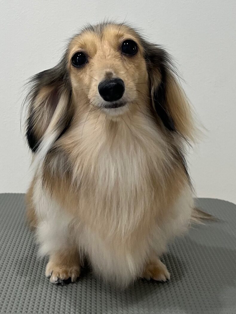 2025-8-18-%e5%af%ba%e7%94%b0%e3%82%82%e3%82%8b