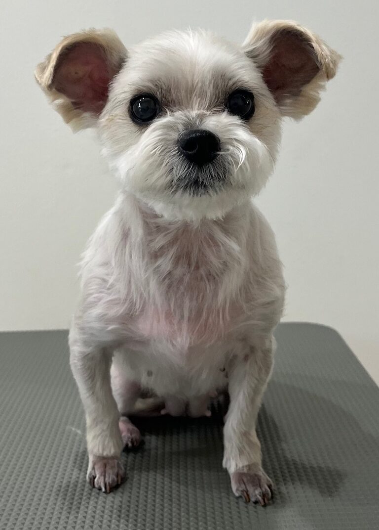 2025-8-18-%e5%b0%8f%e6%9d%be%e3%81%82%e3%81%9a%e3%81%8d