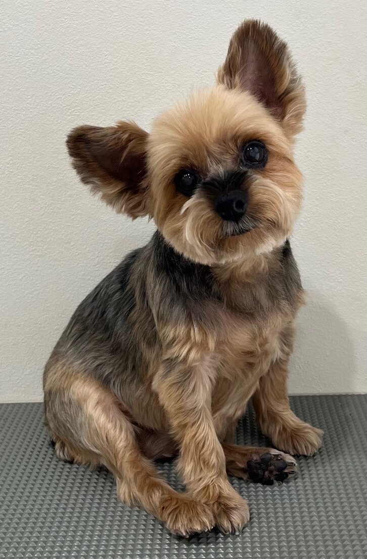 2025-8-18-%e9%96%a2%e9%87%8e%e3%83%8e%e3%82%a2