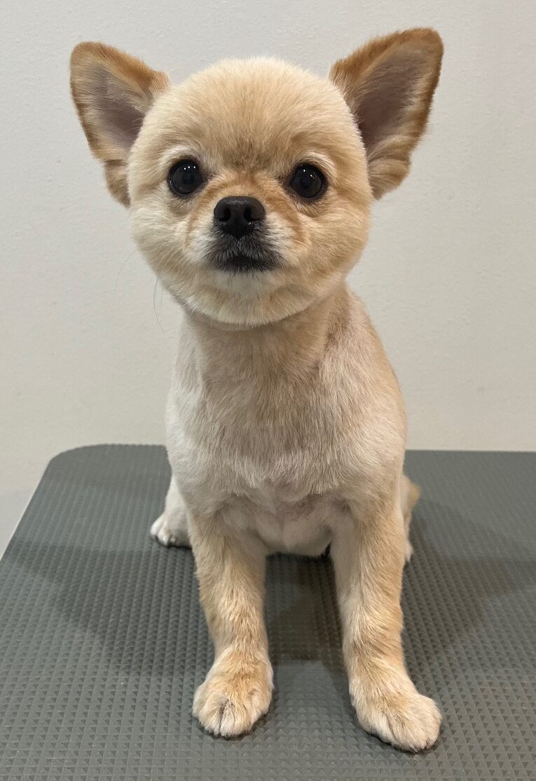 2025-8-19-%e8%8a%a6%e7%94%b0%e3%83%a2%e3%82%b3