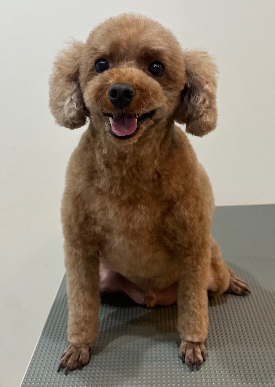 2025-8-20-%e5%b0%8f%e9%87%8e%e3%81%8f%e3%81%85