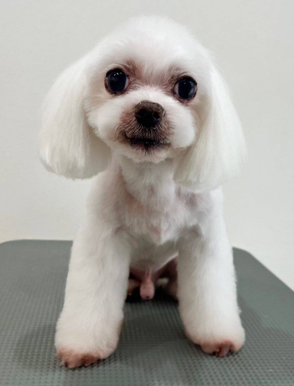 2025-8-22-%e9%95%b7%e7%94%b0%e3%83%9e%e3%83%ab