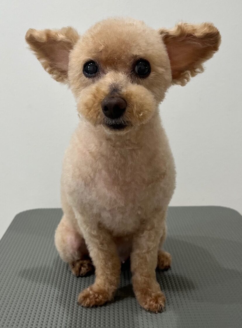 2025-8-24-%e5%b0%8f%e5%8b%9d%e3%83%a2%e3%82%b3