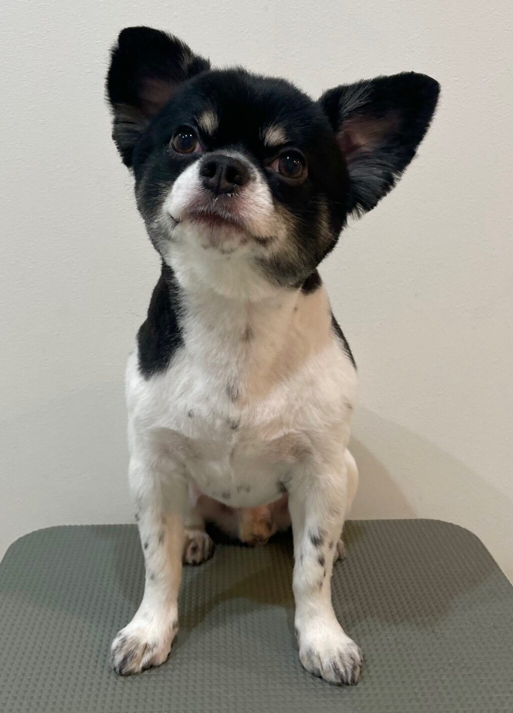 2025-8-24-%e7%80%a7%e5%b4%8ecoco