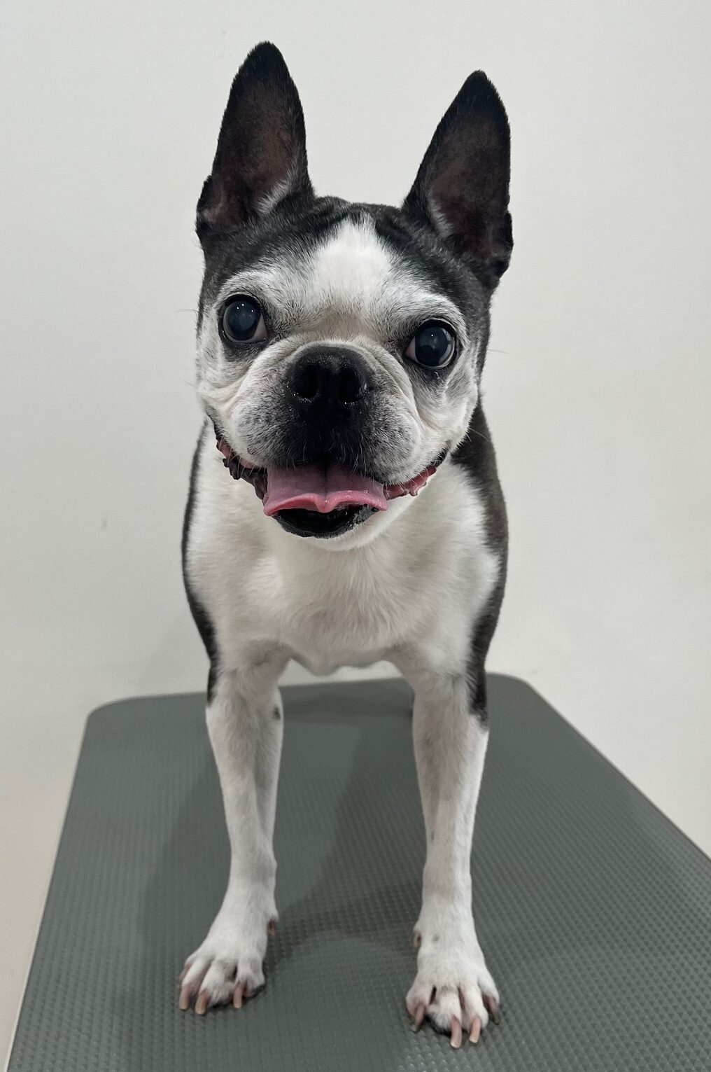 2025-8-24-%e8%b1%8a%e5%b7%bb%e3%83%ab%e3%83%bc%e3%82%af