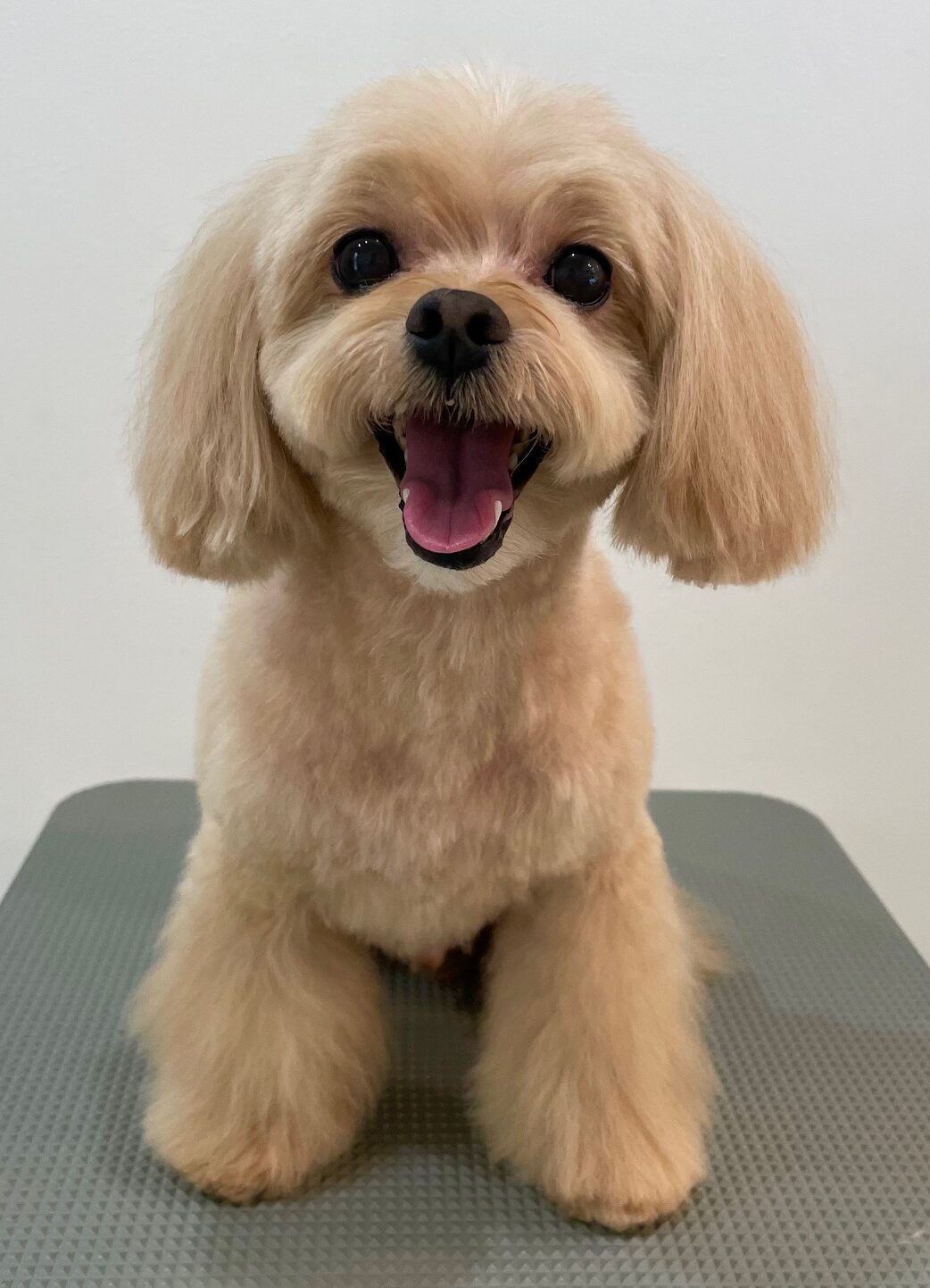 2025-8-25-%e4%bd%90%e8%97%a4%e3%82%b4%e3%83%b3%e5%a4%aa