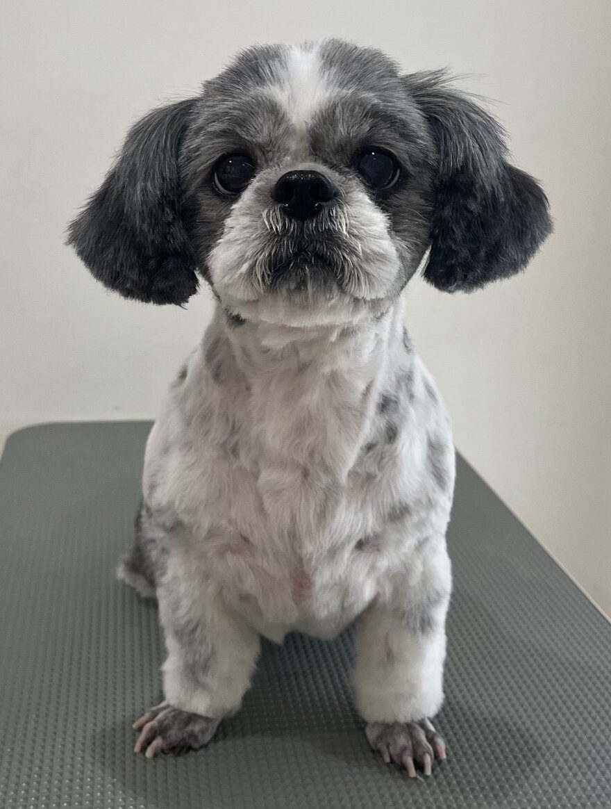 2025-8-25-%e5%b0%8f%e9%87%8e%e3%83%9d%e3%82%b3