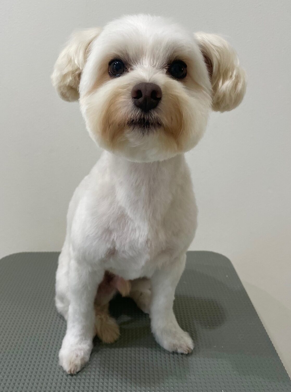 2025-8-25-%e8%8a%b9%e6%be%a4%e3%83%9e%e3%83%ad