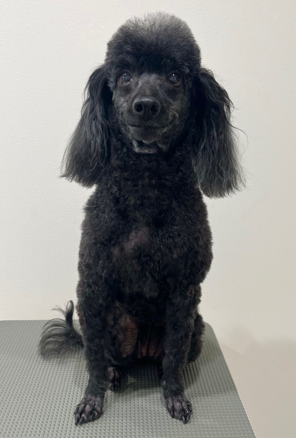 2025-8-26-%e4%ba%95%e4%b8%8a%e3%82%a2%e3%83%b3