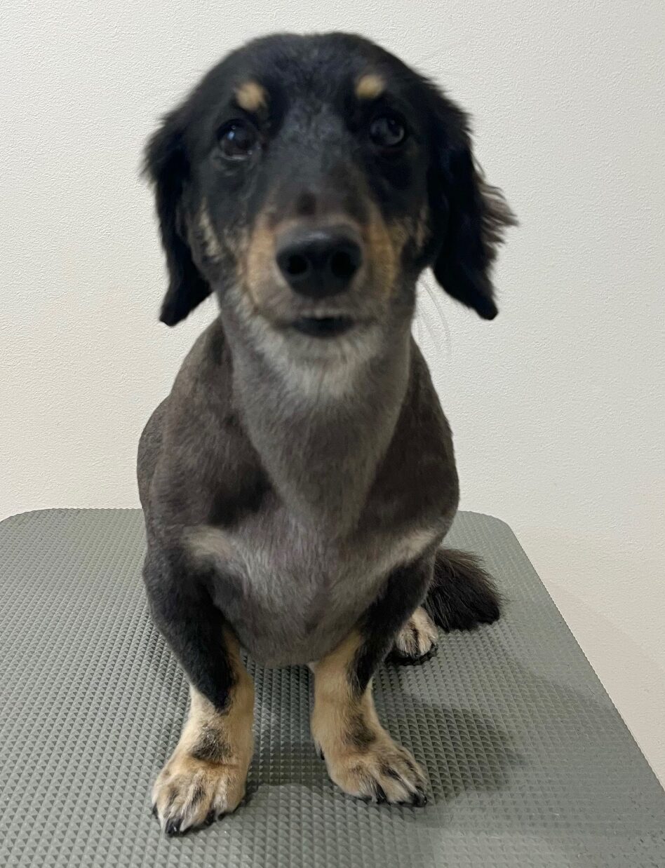 2025-8-26-%e6%9d%89%e6%9d%91%e3%82%89%e3%82%93